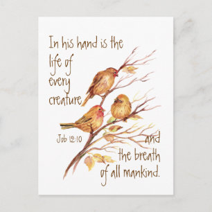 Inspirational Life of Every Creature Quote Postcard