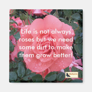 Inspirational Magnets - Keep moving