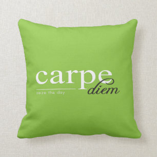 Inspirational Motivational Quote Cushion