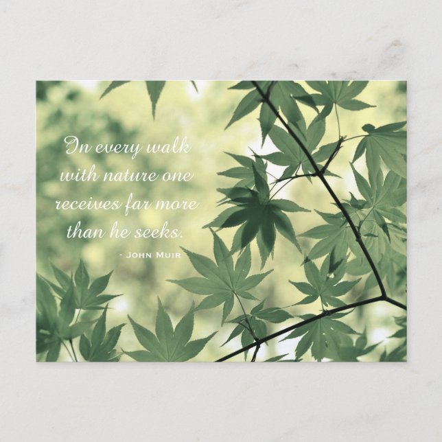 Inspirational Nature Quote Postcard (Front)