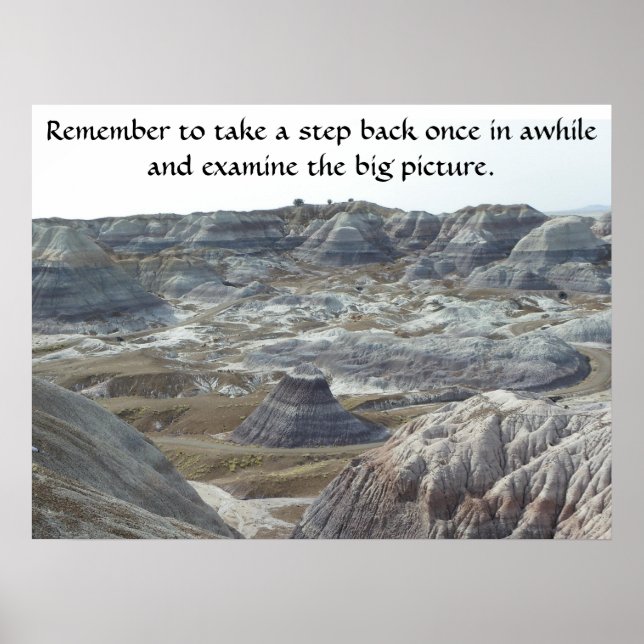 Inspirational Poster Take a Step Back (Front)
