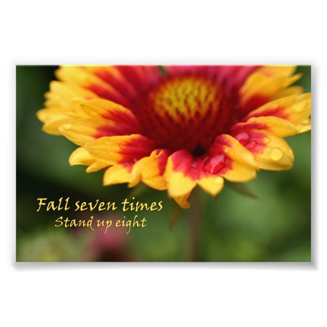 Inspirational quote colourful flower photograph (Front)