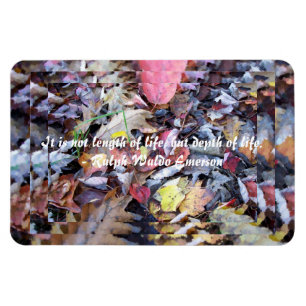 Inspirational Quote Echoes Premium Flexi Magnet