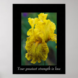 Inspirational Quote Iris Flower Poster