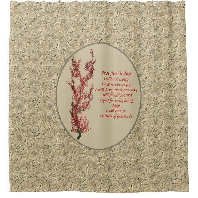 Inspirational Quote Just For Today   Shower Curtain (Front)