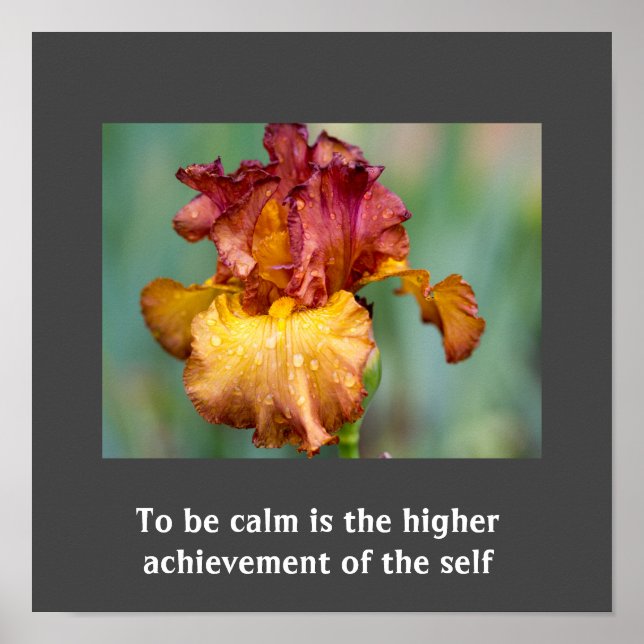 Inspirational Quote Poster (Front)