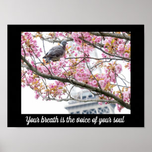 Inspirational Quotes Poster