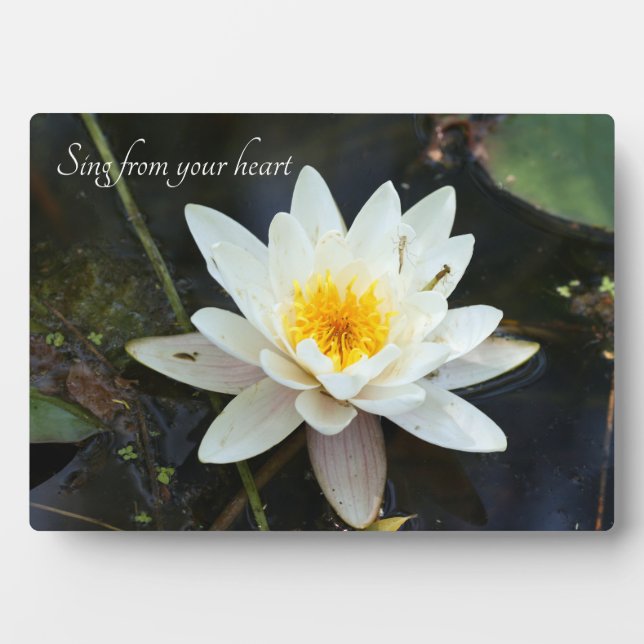 Inspirational Quotes Tabletop Plaque with Easel (Front)