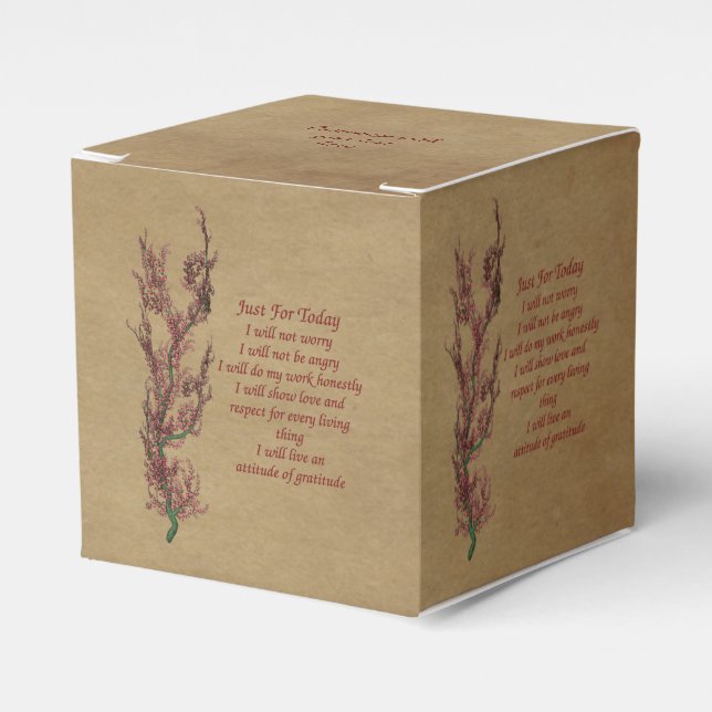 Inspirational Reiki Just For Today Personalised Favour Box (Front Side)