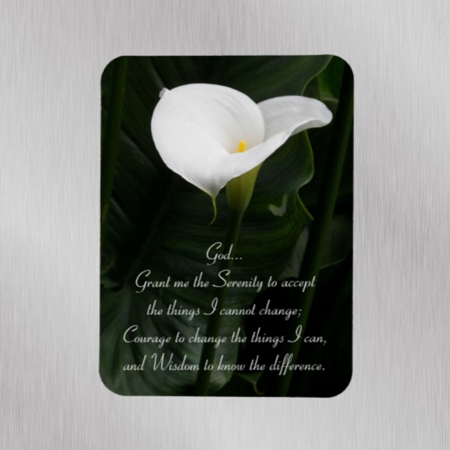 Inspirational Serenity Prayer White Calla Lily Magnet (In Situ Fridge Door)