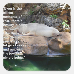Inspirational: Sleeping White Sea Lion On Rocks,   Square Sticker