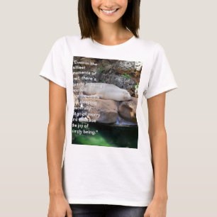 Inspirational: Sleeping White Sea Lion On Rocks, T-Shirt