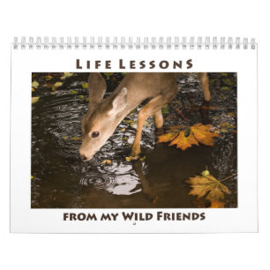 Inspirational Wild Animal Calendar