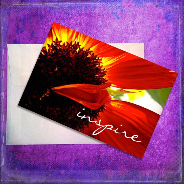“Inspire” red orange daisy photo blank inside card (Creator Uploaded)