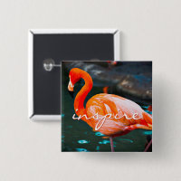 Inspire Script Pink Flamingo Photo Modern Stylish