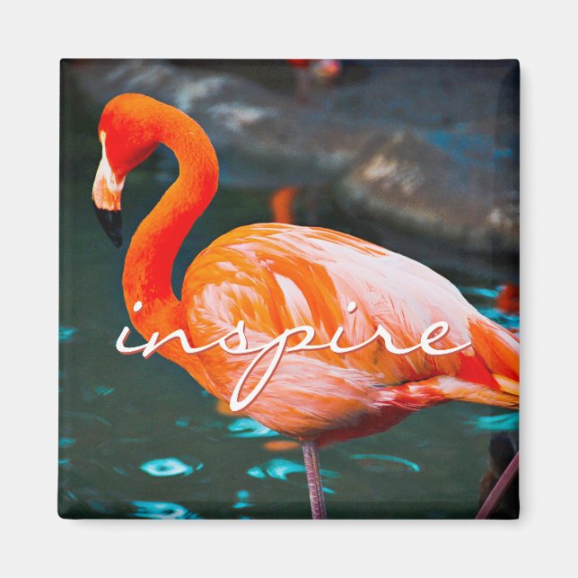 Inspire Script Pink Flamingo Photo Modern Stylish Magnet (Front)