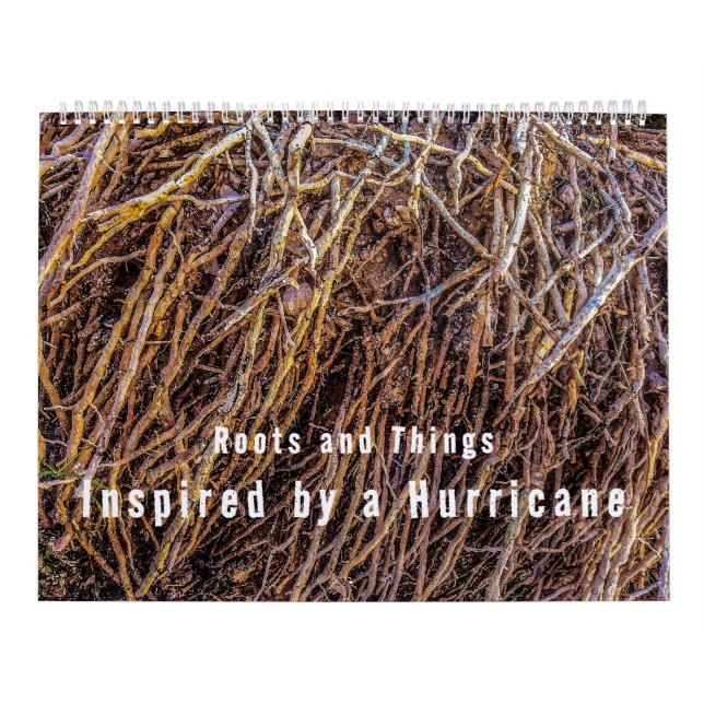 Inspired by a Hurricane Calendar (Cover)