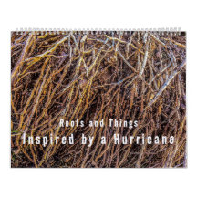 Inspired by a Hurricane Calendar