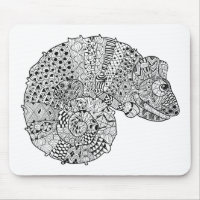 Inspired Chameleon 2