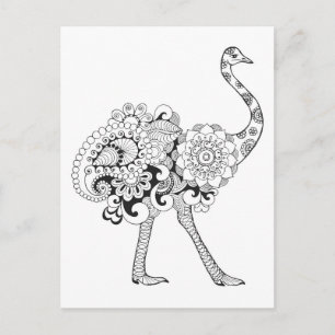 Inspired Ostrich Postcard