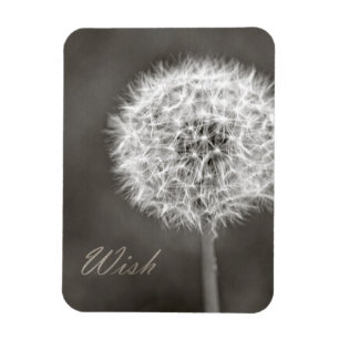 Inspired Wish Dandelion Magnet