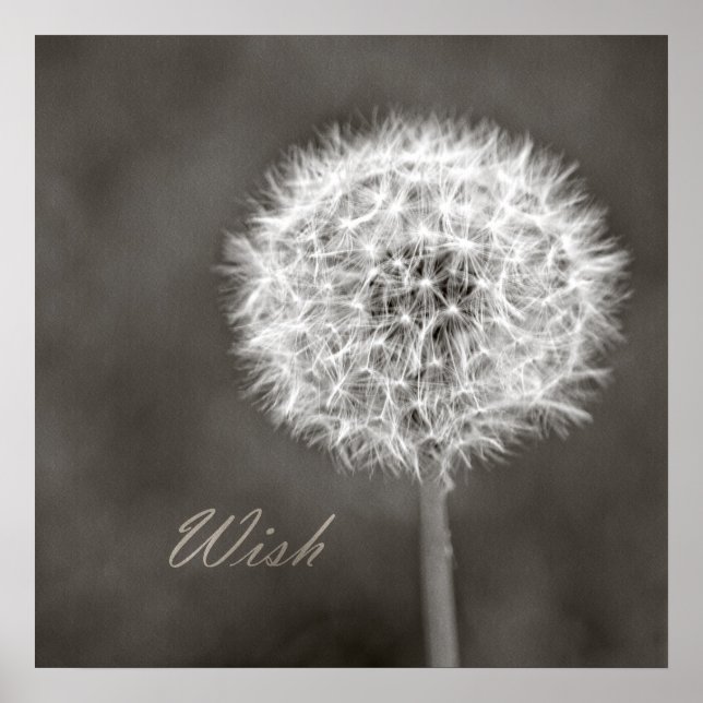 Inspired Wish Dandelion Poster (Front)