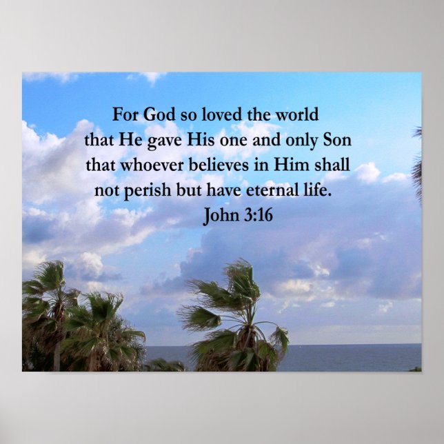 INSPIRING JOHN 3:16 PHOTO POSTER (Front)