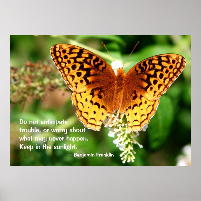 Inspiring Quote Keep in Sunlight Orange Butterfly Poster (Front)