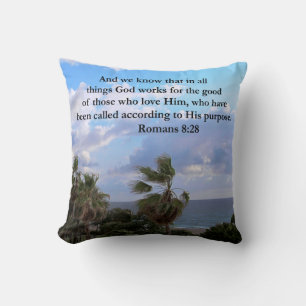 INSPIRING ROMANS 8:28 CUSHION