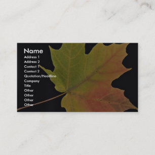 Inspiring Sugar maple leaf Business Card