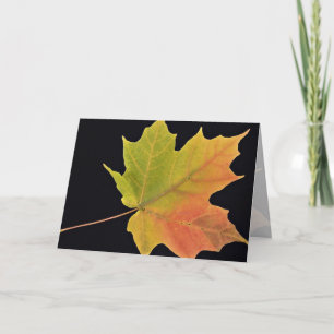 Inspiring Sugar maple leaf Card