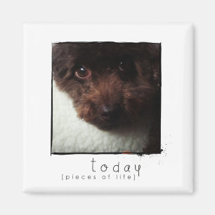 instagram friend photo magnet