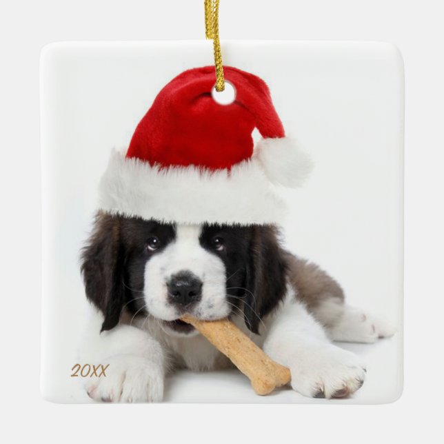 Instagram Pet Photo Ornament (Front)