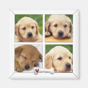 instagram photo dog magnets