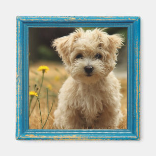 instagram photo magnet