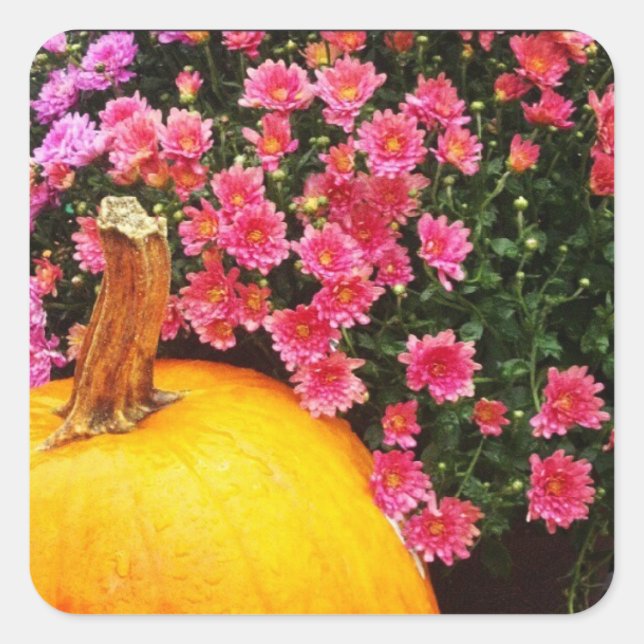 instagram photo sticker (Front)