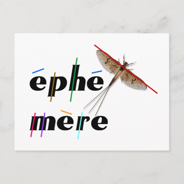instant ephemeral postcard (Front)