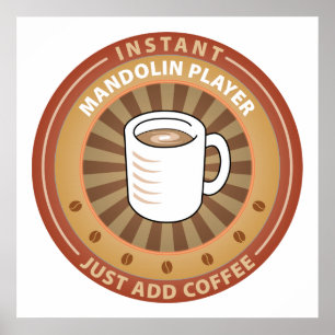 Instant Mandolin Player Poster