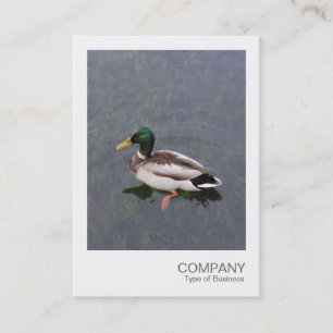 Instant Photo 012 - Mallard Duck Business Card