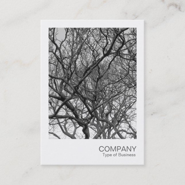 Instant Photo 037 - Magnolia Branches Business Card (Front)