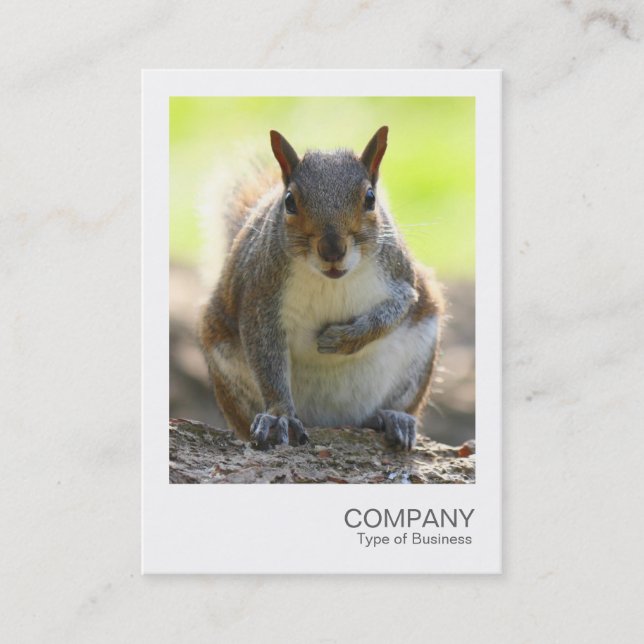 Instant Photo 044 - Grey Squirrel Business Card (Front)