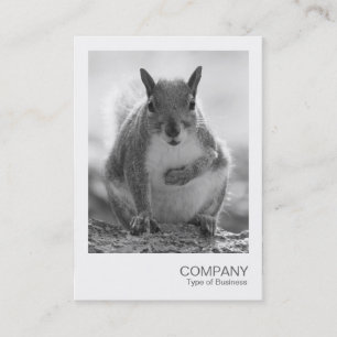Instant Photo 045 - Grey Squirrel BW Business Card