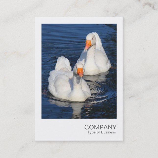 Instant Photo 075 - Two Emden Geese Business Card (Front)