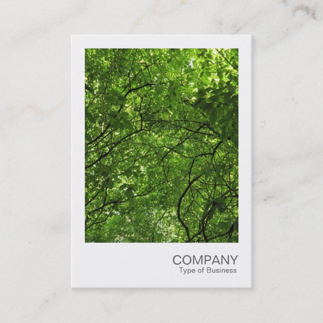 Instant Photo 079 - Woodland Canopy Business Card (Front)