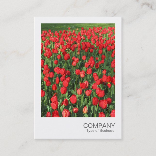 Instant Photo 087 - Bed of Red Tulips 02 Business Card (Front)