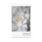Instant Photo 088 - White Camellia