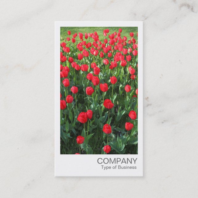 Instant Photo - Bed of Red Tulips 01 Business Card (Front)