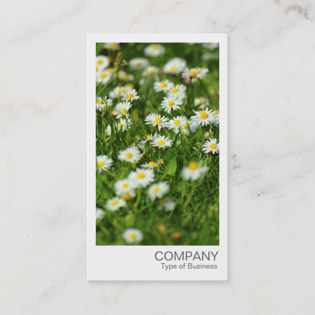 Instant Photo - Daisy Meadow Business Card (Front)