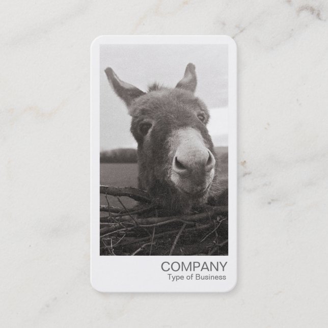 Instant Photo - Friendly Donkey Business Card (Front)