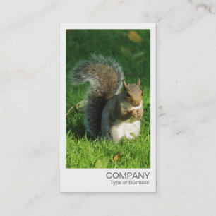 Instant Photo - Grey Squirrel Eating Nuts Business Card